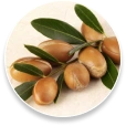 Argania Spinosa Extract