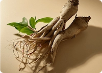 Resveratrol